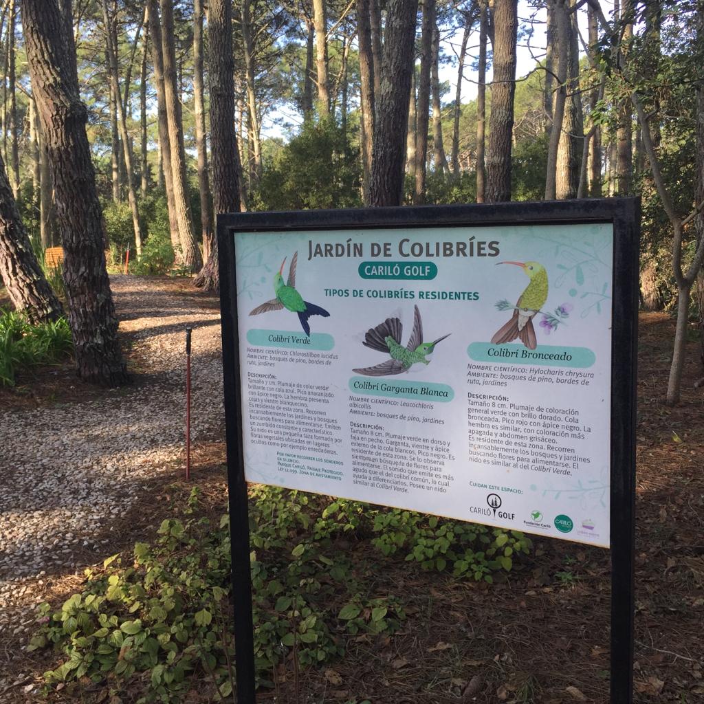 Jardín de colibríes