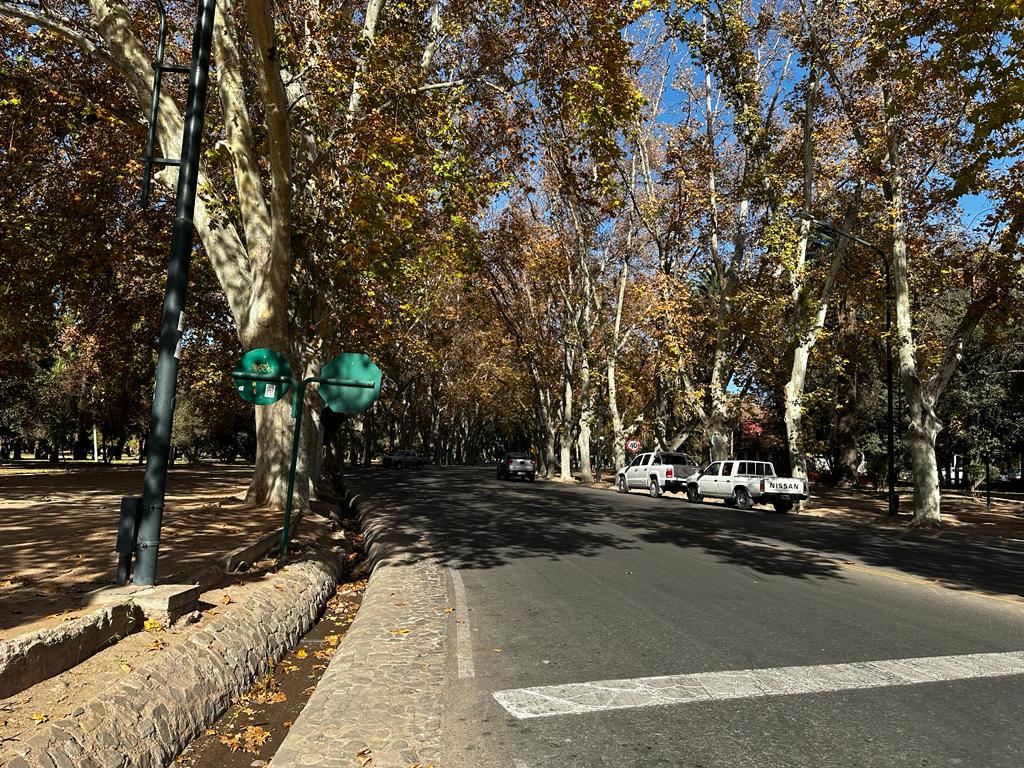 Acequia y plátanos