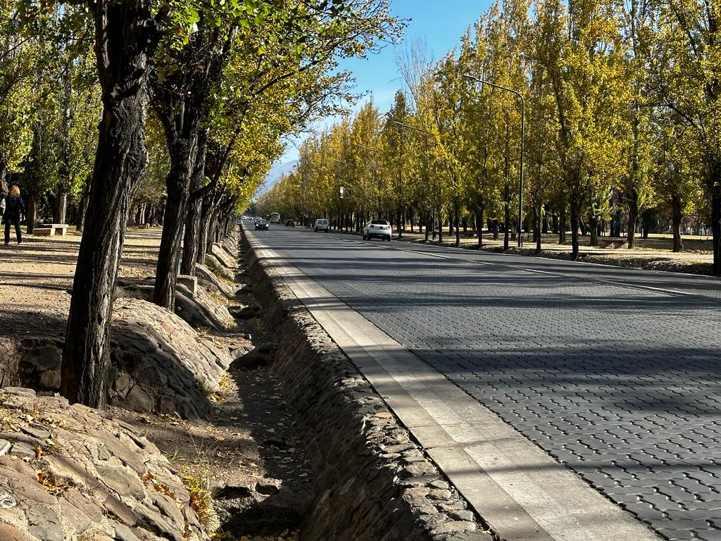 Acequia y alameda